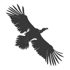 Silhouette vulture bird animal fly black color only
