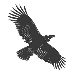Obraz premium Silhouette vulture bird animal fly black color only