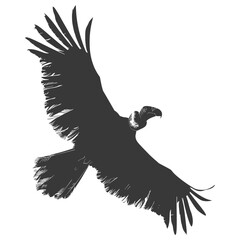 Silhouette vulture bird animal fly black color only