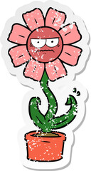 distressed sticker of a angry cartoon flower