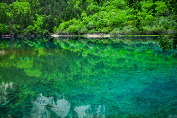 Jiuzhai Valley National Park Summer View in Sichuan Province, China