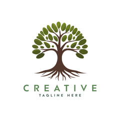Obraz premium Creative artistic tree logo concept. eco friendly tree logo