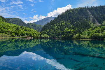 Fototapeta na wymiar Jiuzhai Valley National Park Summer View in Sichuan Province, China