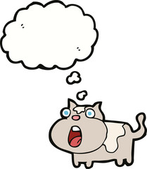 cartoon shocked cat with thought bubble