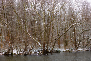 Winter scenes along the South Holston River in Bristol, Tennessee, USA