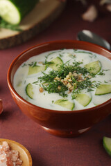 A bowl with Tarator cold soup - traditional Bulgarian dish