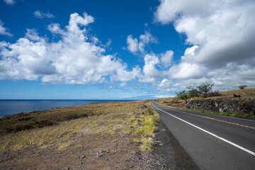 Road by the Pacific Ocean on Big Island Hawaii
