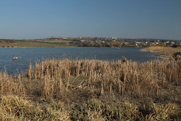 A body of water with grass and a city in the distance