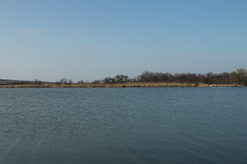 A body of water with trees in the background