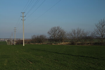 A grassy field with power lines