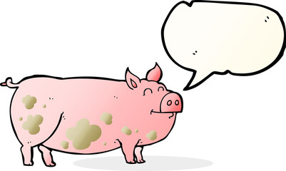speech bubble cartoon muddy pig