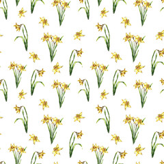 Fototapeta na wymiar daffodil narcissus flower spring summer plants botanical watercolor illustration seamless pattern textile design primtable wrapping paper wallpaper