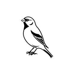 Elegant Canary Illustration Vector
