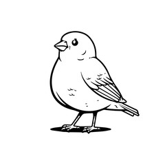 Elegant Canary Illustration Vector
