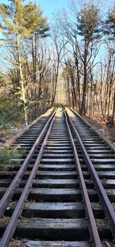railway in the forest