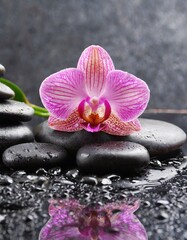 Fototapeta na wymiar spa still life with orchid
