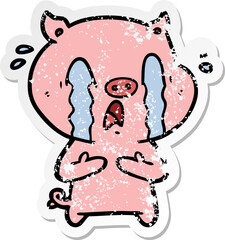 distressed sticker of a crying pig cartoon