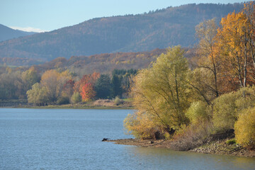 Paysages d'automne, arbre rouge du lac Michelbach en Alsace