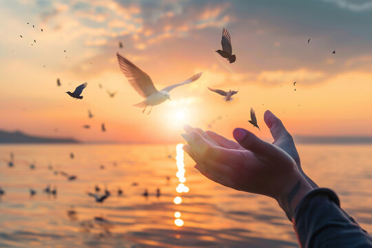 Woman's hand with flying seagulls and a sunset sky background.