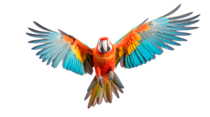 A colorful parrot is flying in the air with its wings spread wide Isolated on transparent background, PNG