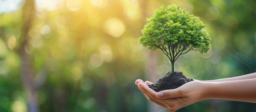 Close-up image of two hands holding a small tree seedling for planting, world environment day concept. AI generated