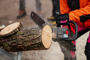 Electrical chainsaw sawing on fresh wood by professional arborist