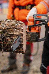 Motor electric powered chainsaw sawing lumber close up as sawdust fly all over