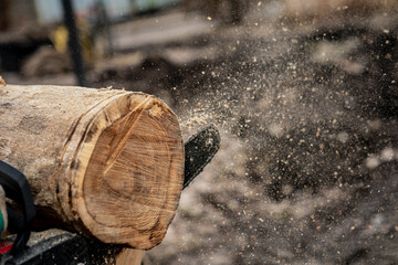 Motor electric powered chainsaw sawing lumber close up as sawdust fly all over