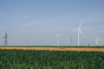 Wind turbines producing renewable source of energy on wheat field against blue sky. Windfarm with...