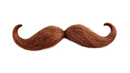 A mustache with a brown color and a long shape Isolated on transparent background, PNG
