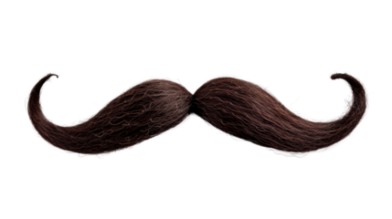 A mustache with a black color Isolated on transparent background, PNG