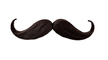 A mustache with a black color Isolated on transparent background, PNG