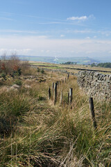 Fototapeta na wymiar View of a Yorkshire landscape, with drystone wall, fence posts, and grasses. A wind turbine can be seen in the distance.