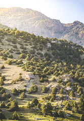 View of the mountain ranges and peaks of the Fan Mountains with glaciers, rocks and vegetation in Tajikistan, mountain panorama at dawn in the morning