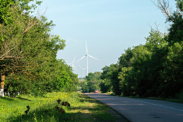 Red car driving against farm with arrays of wind turbines with big rotor blades. Production of...