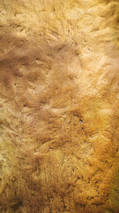 Empty gold or brass rough wall paint for abstract background and foil texture. beautiful patterns, space for work, banner, wallpaper close up.Vertical.