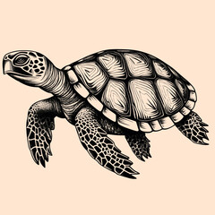 Fototapeta premium Black and White Turtle Outline Silhouette Ornament Vector Art for Logo and Icon, Sketch, Tattoo, Clip Art