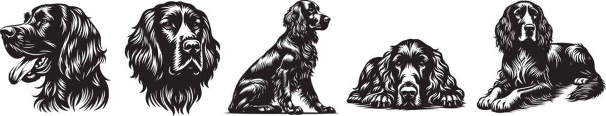 setter breed dogs, full body silhouette in various positions sitting, standing, jumping, black vector
