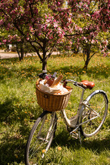 Spring outdoor romantic picnic in the garden. Bicycle basket filled with wild-flower bouquet, rose wine,baguette. Holiday on countryside lifestyle concept.