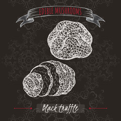 Tuber melanosporum aka black truffle sketch on black background. Edible mushrooms series. - 751561676