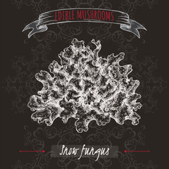 Tremella fuciformis aka snow fungus sketch on black background. Edible mushrooms series. - 751562075