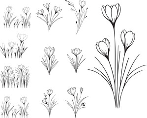 set of silhouettes of plants, crocus flower vector graphics
