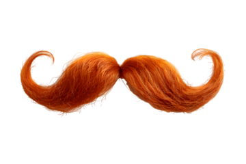 Curly ginger mustache isolated on transparent background