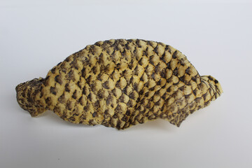 One big piece of crispy fish skin chips or skin fish crackers, Isolated on white background