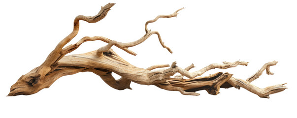 A long, thin branch with a few small holes in it Isolated on transparent background, PNG