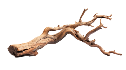 A long, thin branch with a few small holes in it Isolated on transparent background, PNG