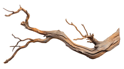 A long, thin branch with a few small holes in it Isolated on transparent background, PNG - Powered by Adobe