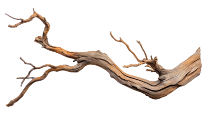 A long, thin branch with a few small holes in it Isolated on transparent background, PNG