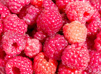 Raspberry.  Raspberries set,  top view