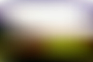 Light blurred shine abstract background vector.